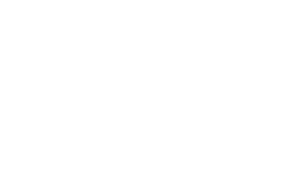 Siberhavadis