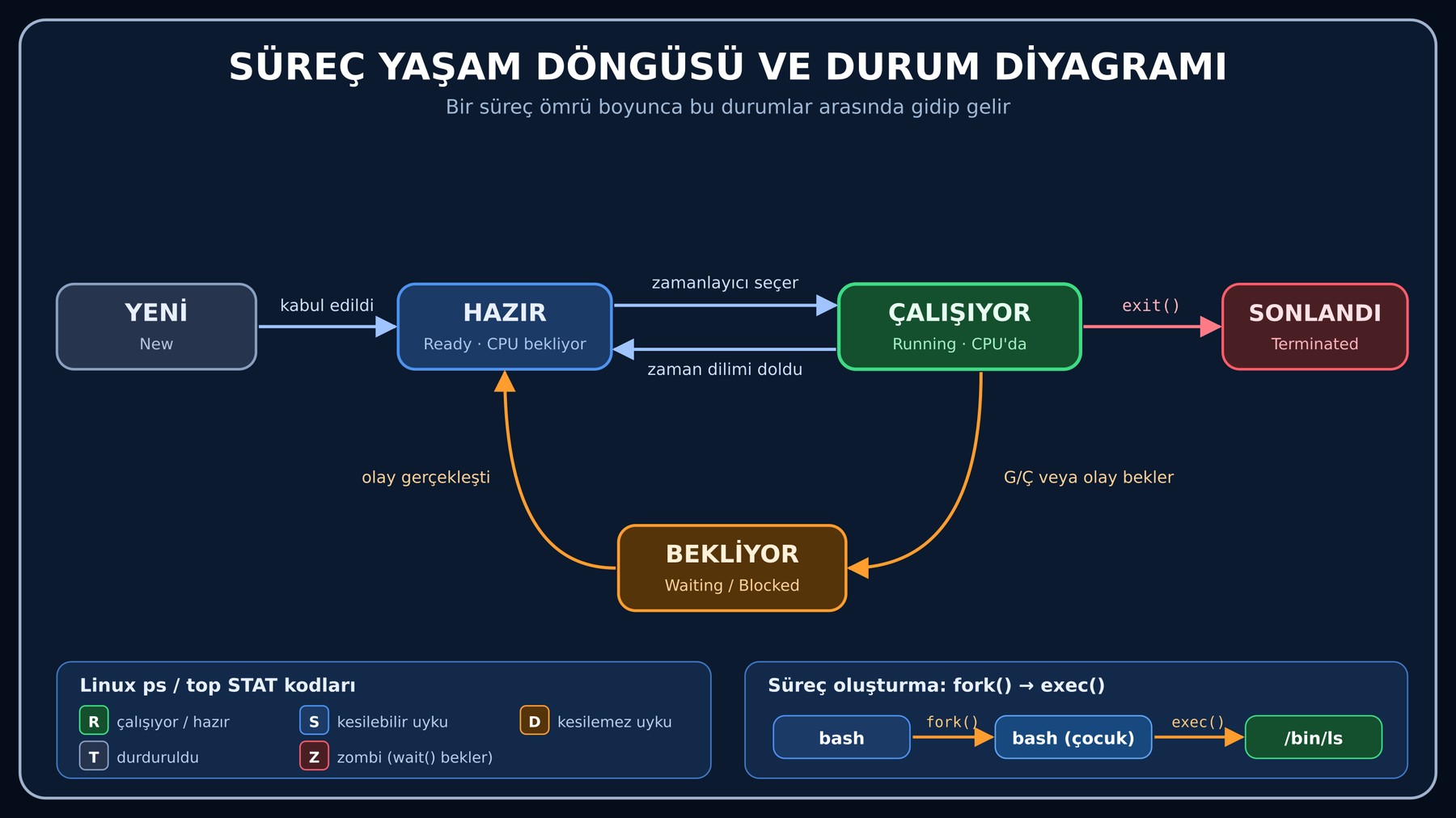 Süreç yaşam döngüsü ve durum diyagramı